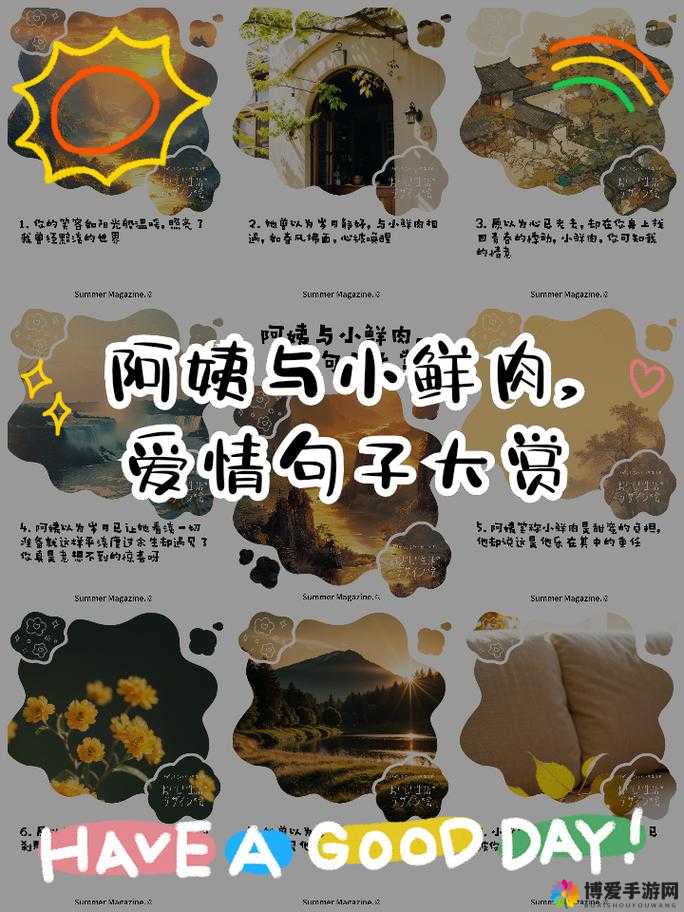 老阿姨喜欢小鲜肉用什么词形容之深度剖析与探讨