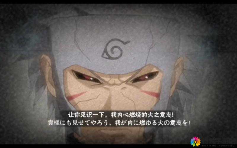火影忍者正能量网站链接怎么用？带你领略火影精神的力量