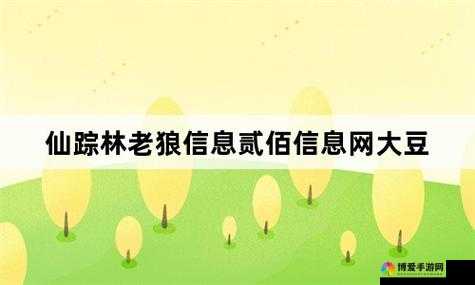 仙踪林老狼网站欢迎你二百 畅享独特精彩内容