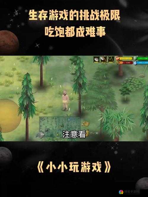 两个人一起玩的生存游戏：挑战极限，携手求生