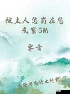 我被主人惩罚，关禁闭一整天