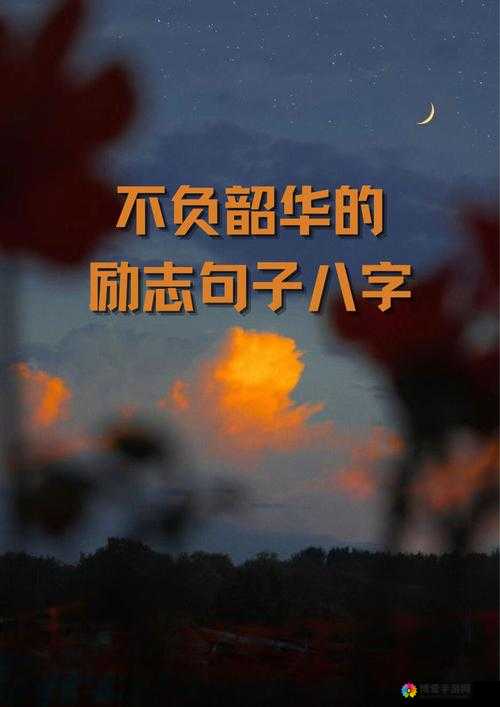 就要鲁就要干:勇往直前不断拼搏努力奋斗追求梦想