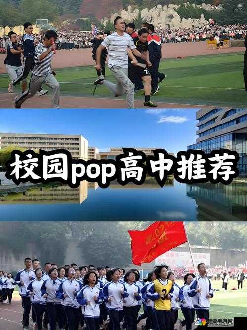 生格校园 pop11 高中：一所充满活力与特色的优质学府