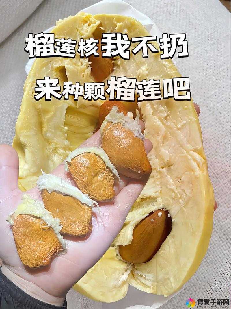 秋葵茄子丝瓜香蕉榴莲的种植方法与营养价值介绍