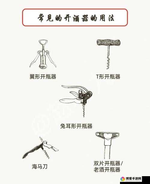 大号注射器将红酒灌注进屁眼里的奇妙尝试