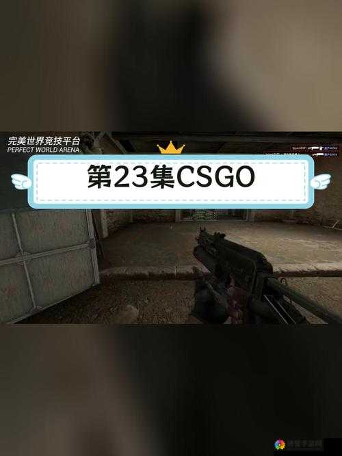 CSGO 精彩录像观看：深度解析与精彩回顾