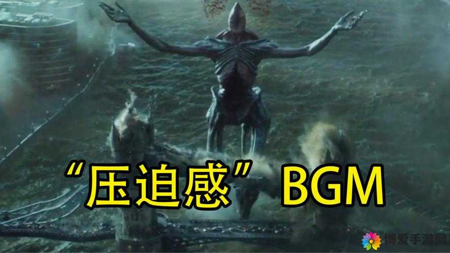 BGMBGMBGM 老太太毛：神秘而独特的存在