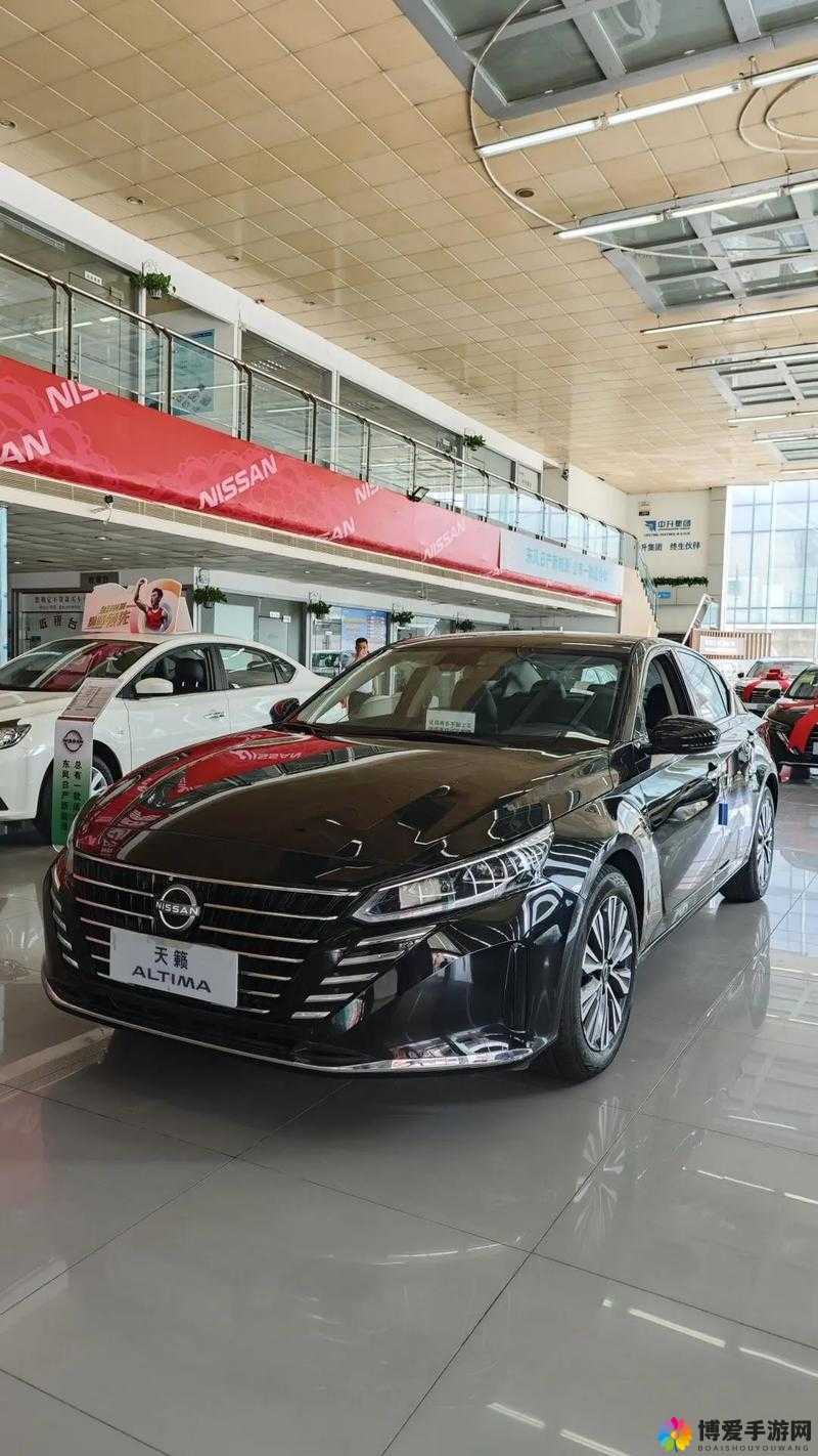 日产精品最新在线：提供最优质的产品和服务