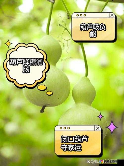 hlw32life 葫芦:关于它的神奇之处与独特魅力探讨