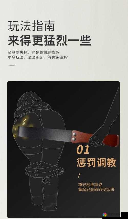 SP 的标准惩罚是什么以及其具体内容和影响分析