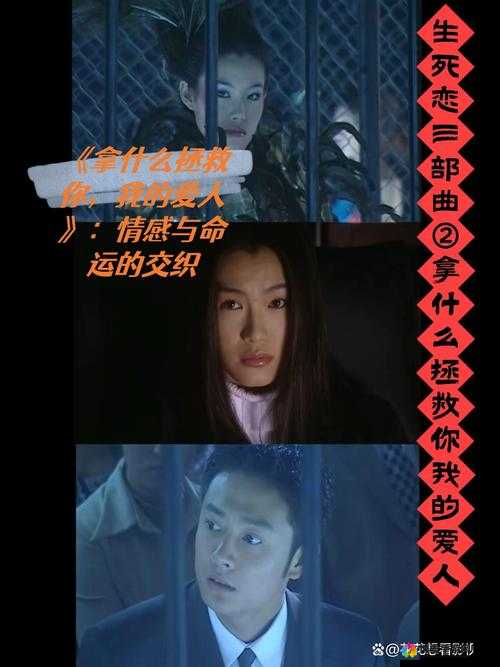 一女七男：他们之间错综复杂的情感纠葛与命运交织