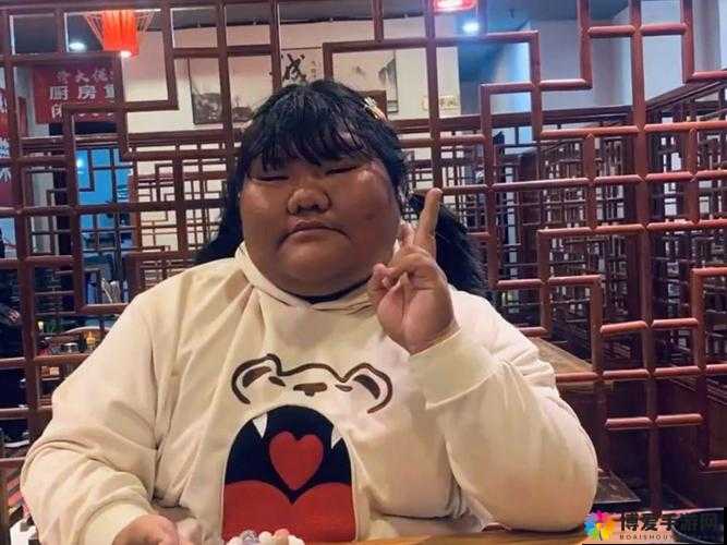 奔现后陷入纠葛的 1v1：网恋与现实的碰撞——以南港茶茶为例