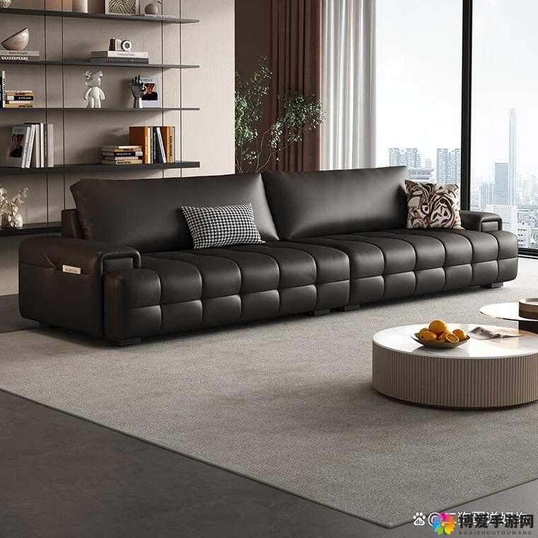 国产精品沙发系列：打造舒适家居的品质之选
