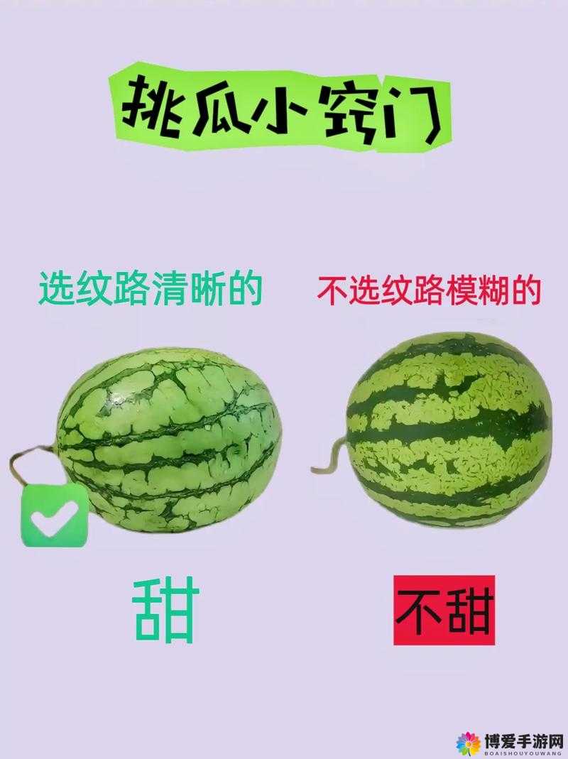 17 吃瓜官网：实时追踪精彩瓜事不容错过