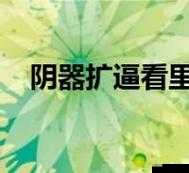 关于看逼逼的独特视角与解读