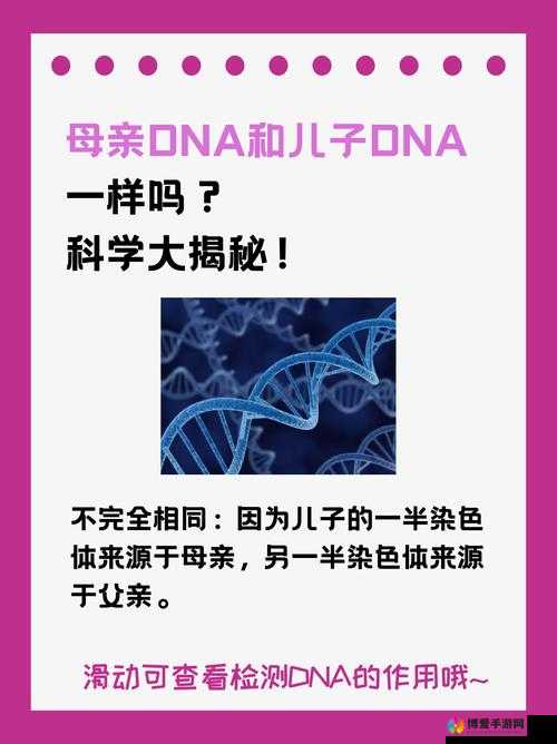 母亲的 DNA 和儿子的 DNA 是一样的吗：两者之间关系的深入探讨