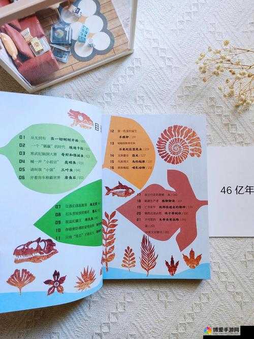 关于 zaomengxiyou3 的奇妙探索之旅