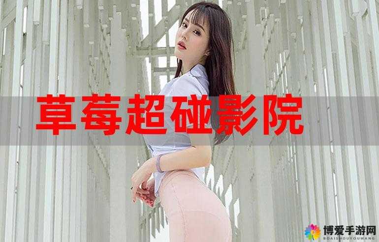 亚洲成年人影院在线观看：满足你的私密需求