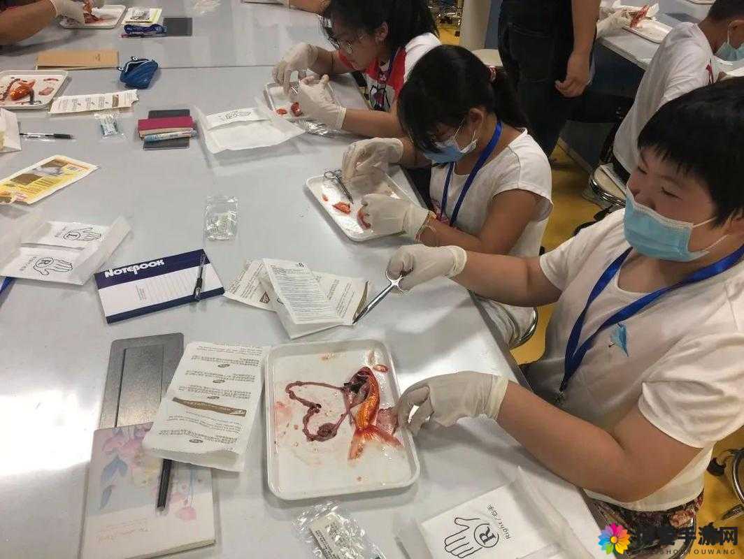 含羞草实验所隐藏 2024:科学与人性的探究