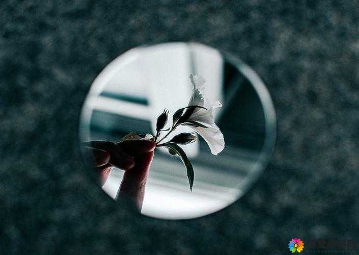 旅行者将心海焯出鱼子酱：这一行为引发的一系列思考与探讨