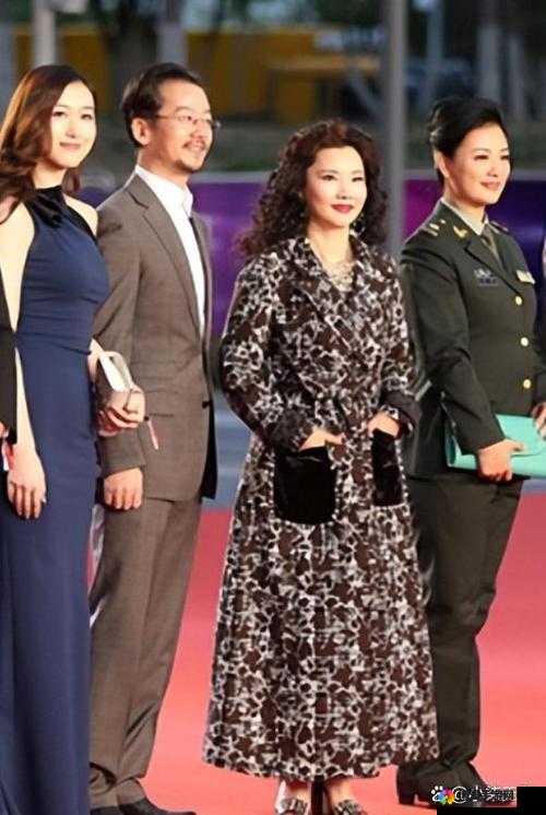 wwwsss 国产：引领国产新潮流的杰出代表