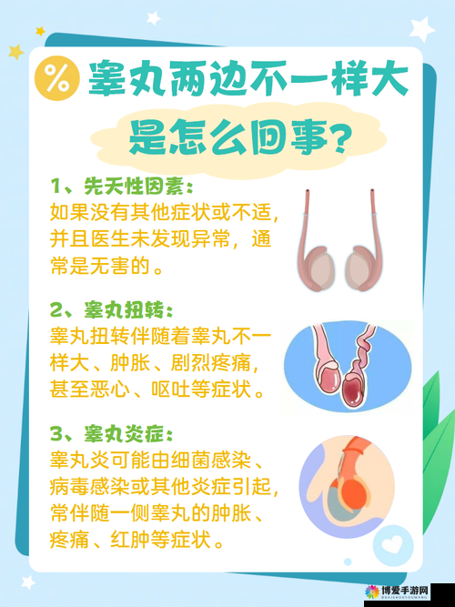 不小心看到了男生的睾丸怎么办：心理与应对策略探讨