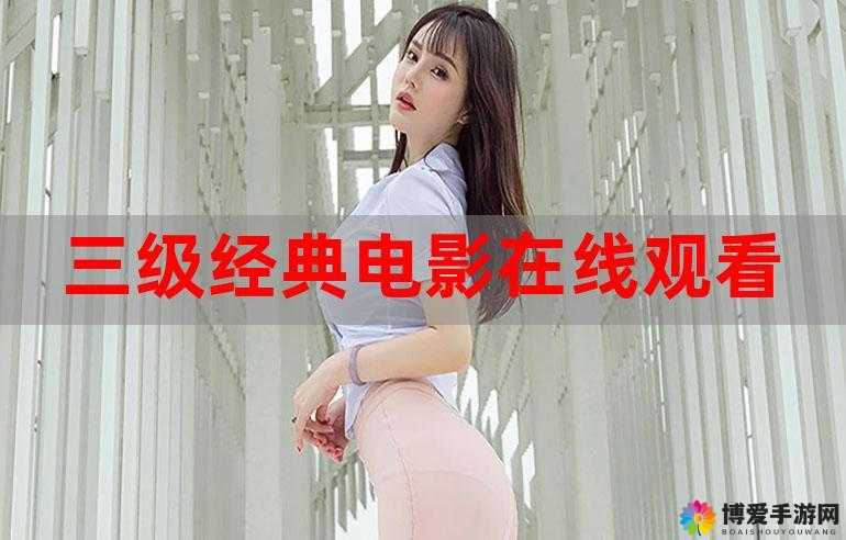 三年片大全免费观看，精彩不间断，让你一次看个够