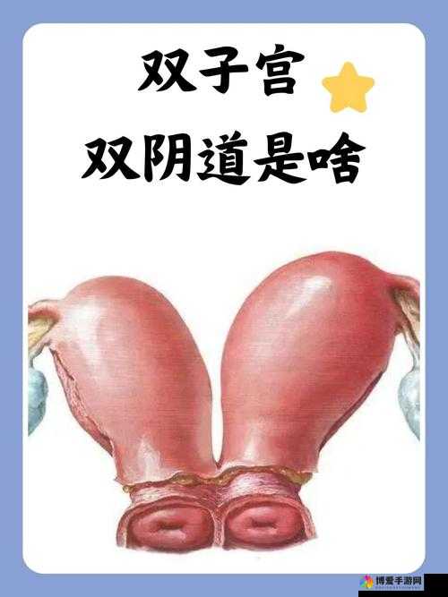 女性私密五月天：探讨女性身体与健康的奥秘