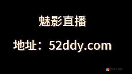 魅影在 B 站直播精彩不断：魅影看 B 站直播全程回顾