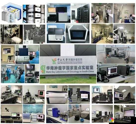 hxc 实验室研究中心:探索科学前沿的创新之地