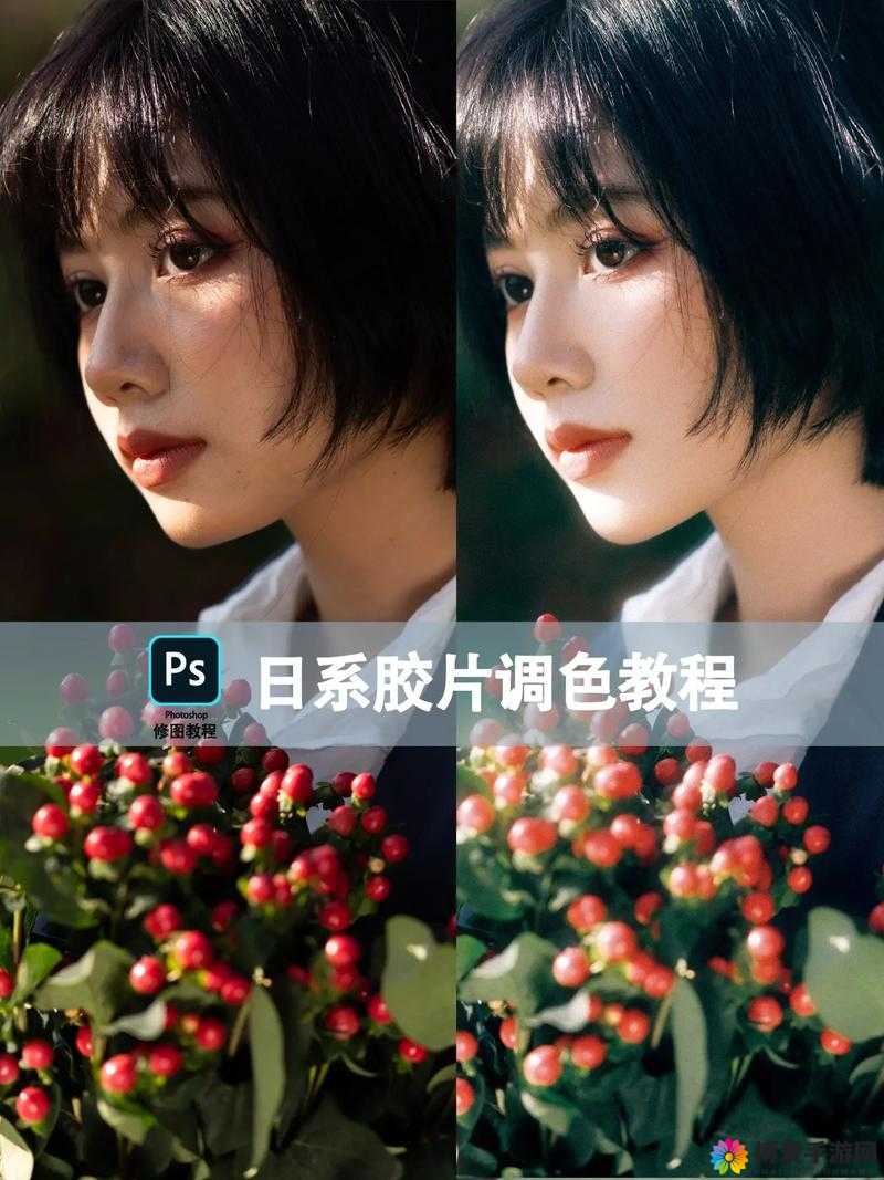 免费 PS 大片调色视频软件：轻松打造专业级调色效果
