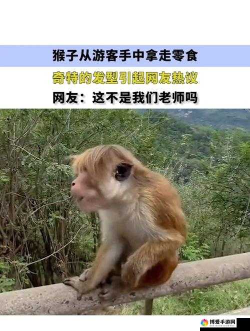最新奇特视频：两男子竟与人造猴子做出这种事