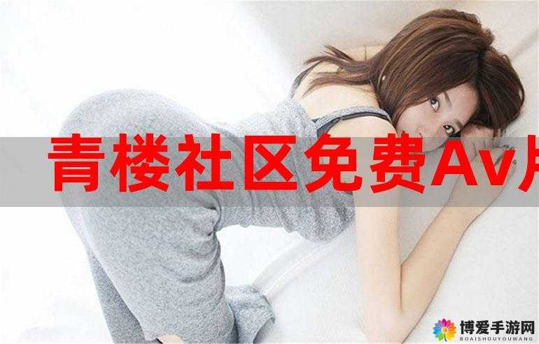 日本 xx69 相关：独特视角解读与探索