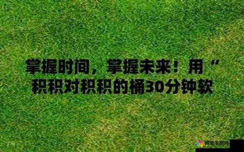 小积积面板对小积积显示 30 分钟啊的精彩呈现