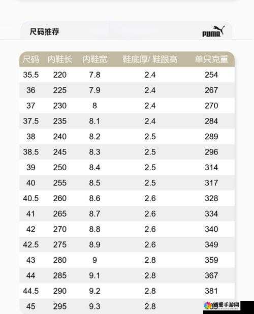 欧洲尺码日本尺码专线：全新黑马引领潮流