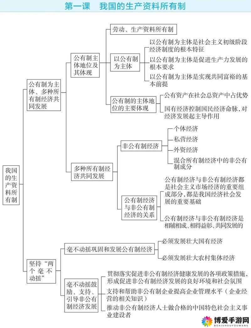 美国 XXX ：深入探究其独特的政治经济与社会现象