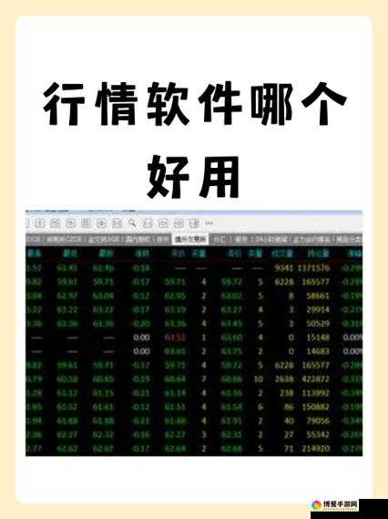 免费看行情网站：畅享实时行情数据无需付费