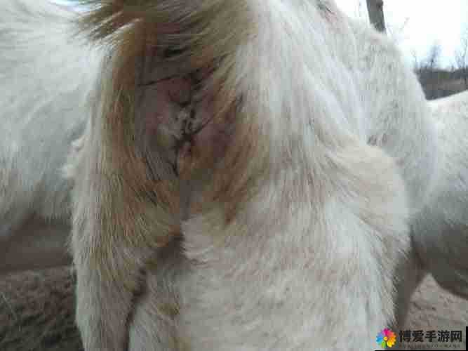 人进入羊水门最怕三种东西：究竟是哪三样需警惕