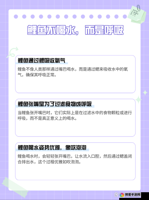 鲤鱼喝水技巧图解：详细解析与实用操作指南