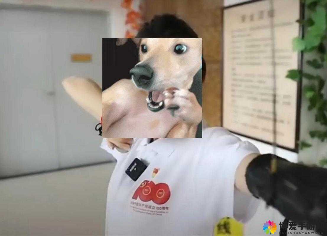 张律渝和吕总三部曲红桃：一段令人瞩目的神秘故事