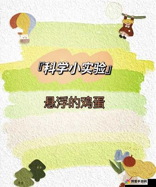 B 里可以放多少个鸡蛋图片：探究鸡蛋存放的奥秘