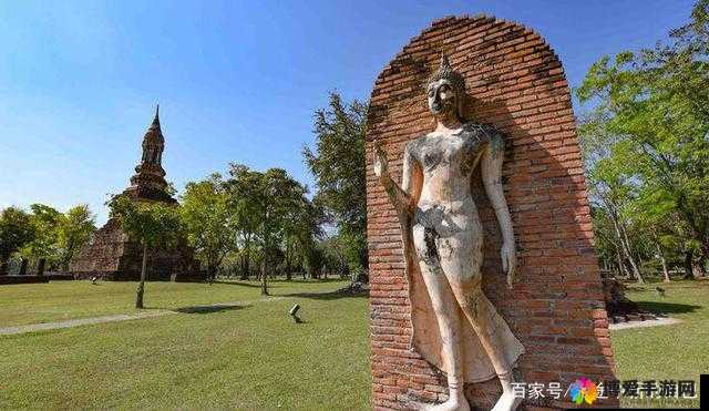 人文艺术 83638 ：探寻艺术的独特魅力与价值