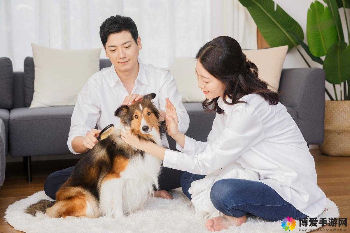 宠物，人类生活中的温馨伴侣