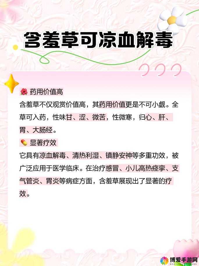 含羞草的作用含羞草能预测地震还能入药观赏价值高且能净化空气