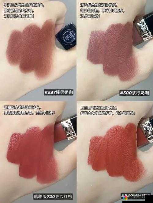 欧色 999：关于其独特魅力与卓越性能的全面解读