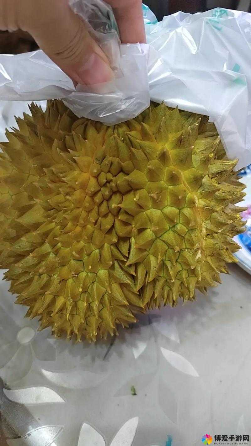 lll999 榴莲视频：关于它的详细介绍与独特之处