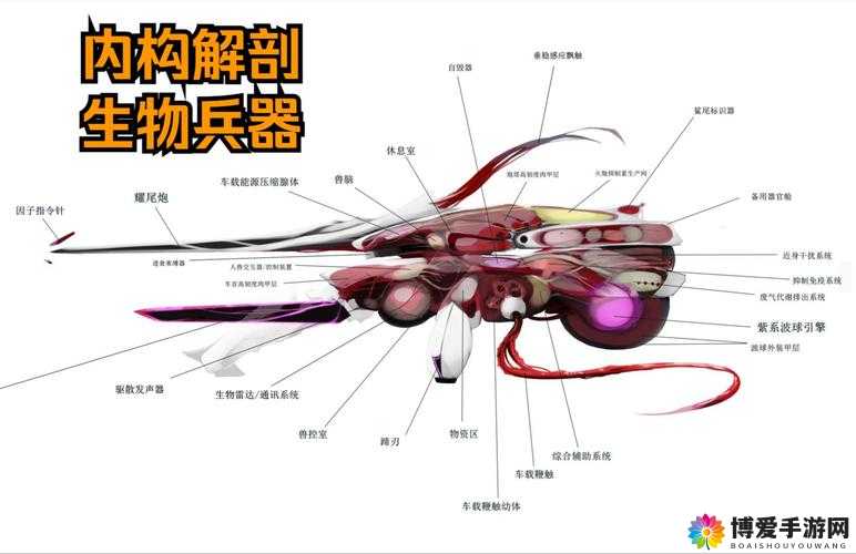 大海贼时代，探索古代兵器的奥秘与玩法