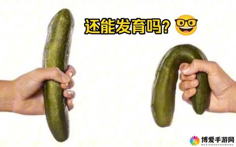男生将坤坤赛季老师的定眼里：一个充满争议的话题