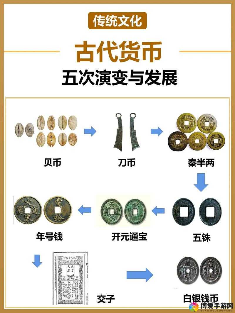 贝的奇妙世界，从古代货币到大海贼时代的神秘力量