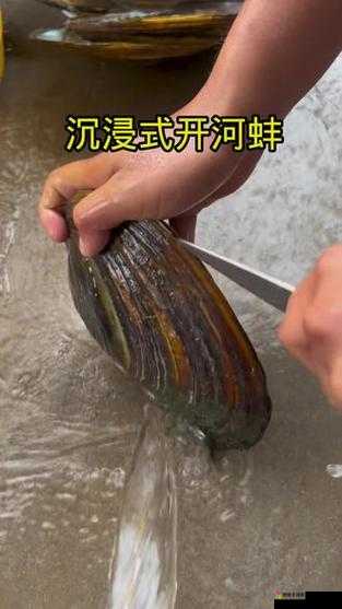 狂涨肥白的玲珑的肉蚌：令人惊叹的自然奇观之探索